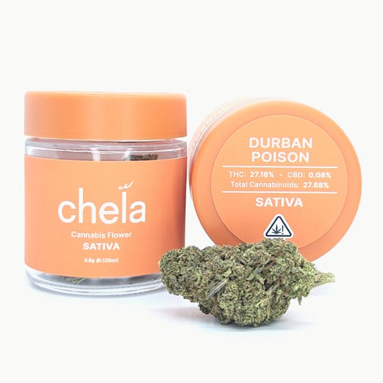 Chela - Chela - Light - Durban Poison - 1