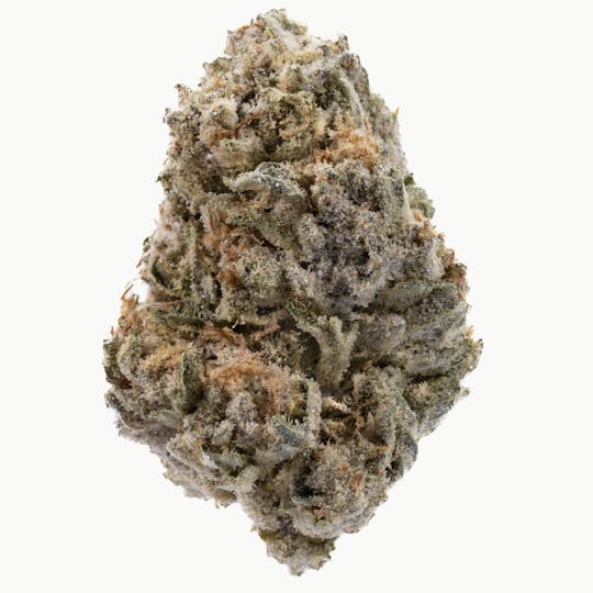 West Coast Cure - Banana Punch - 14G Diamond Infused Flower - 1