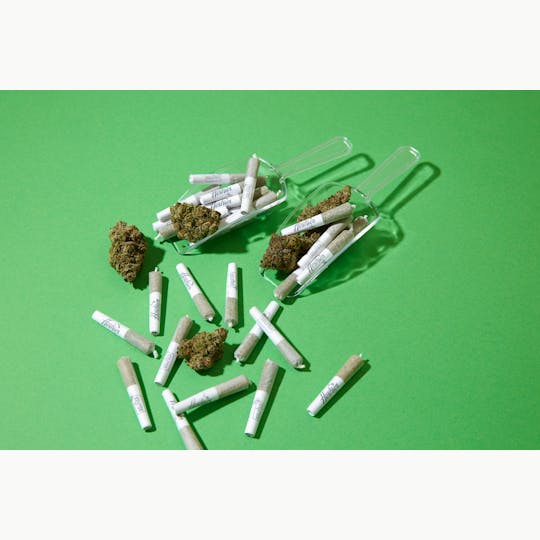 SELFiES - Preroll 2 Pack (.5g) - Black Jack - 1