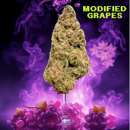 SUPPLY LA - Modified Grapes | Premium Flower | 14g | Half Ounce - 1
