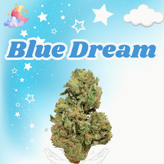 SUPPLY LA - Blue Dream | Premium Flower | 7g | Quarter - 1