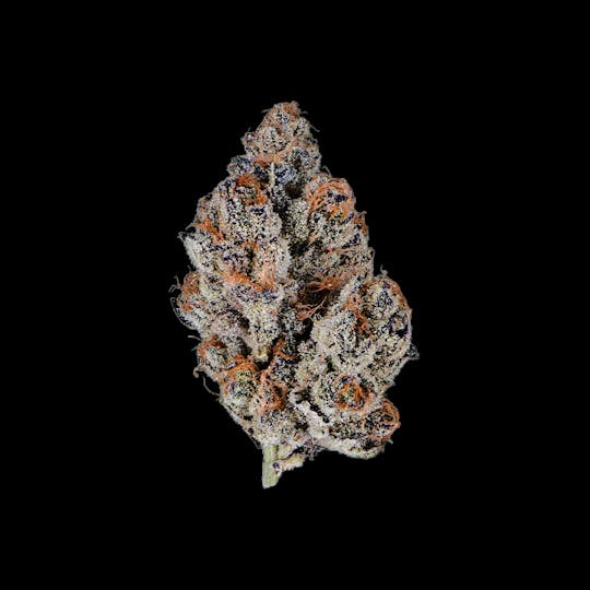 Auraz - Premium Flower | Peanut Butter | Small Buds - 1