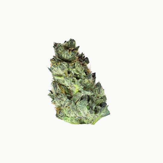 Forte Cannabis - Double Stack - 1