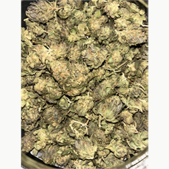 KING WEEDY CANNABIS - Gelato Sorbet - 1