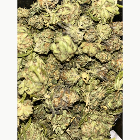 KING WEEDY CANNABIS - AF Gooey - 1