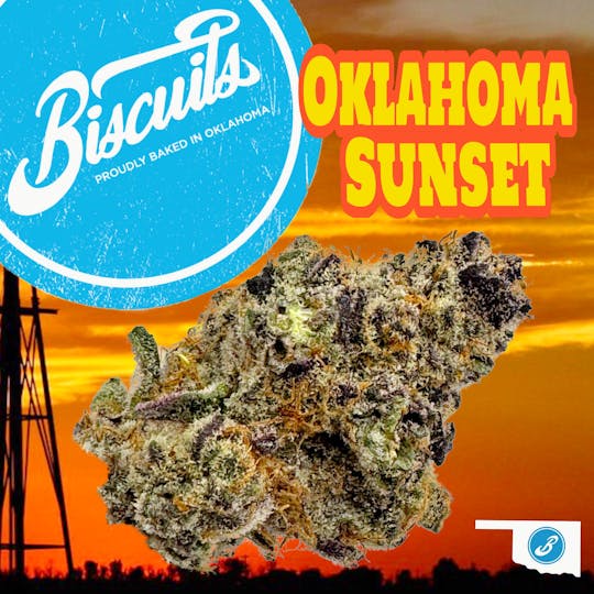 Biscuits - Oklahoma Sunset - Flower - 1