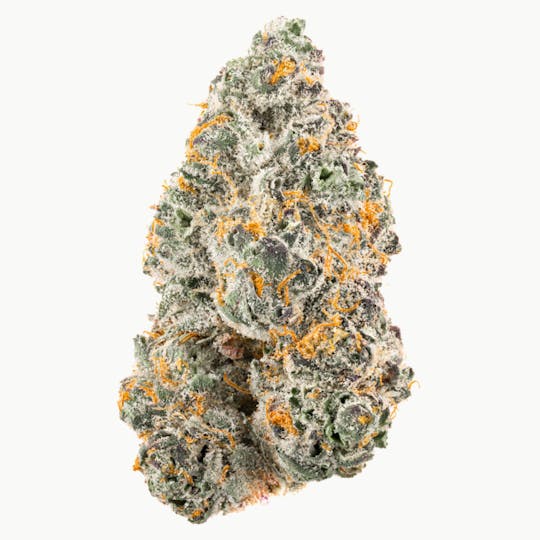 Za - ZAylor swift Frankenstein Flower 7g - 1