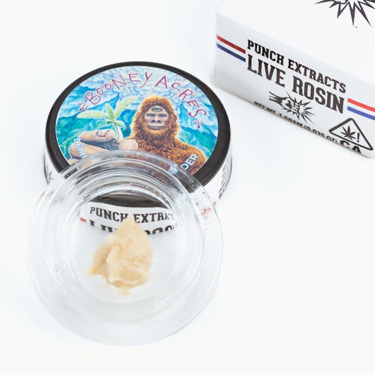 Punch Edibles & Extracts - Lemon Berry OGZ Tier 1 Live Rosin Cold Cure Badder (1g) - 1