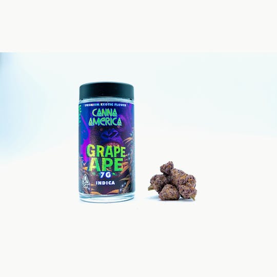 Canna America - Grape Ape - 7g - 1