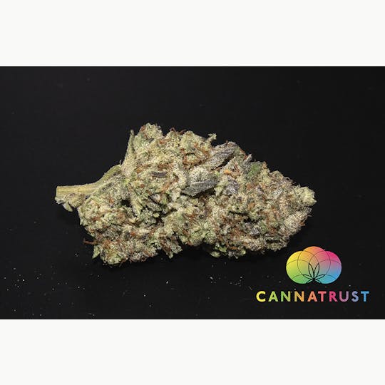 Trusty Transportations - GovernMint Oasis 1/2 Ounce/14Grams(29%THC, Hybrid) - 1