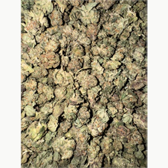KING WEEDY CANNABIS - Cowboy Garlic - 1
