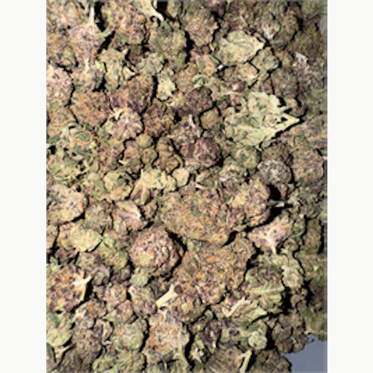 KING WEEDY CANNABIS - DC Daze - 1