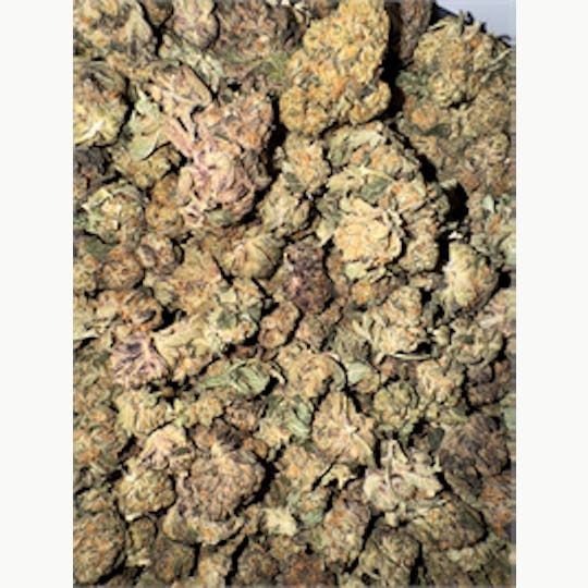 KING WEEDY CANNABIS - G6 - 1