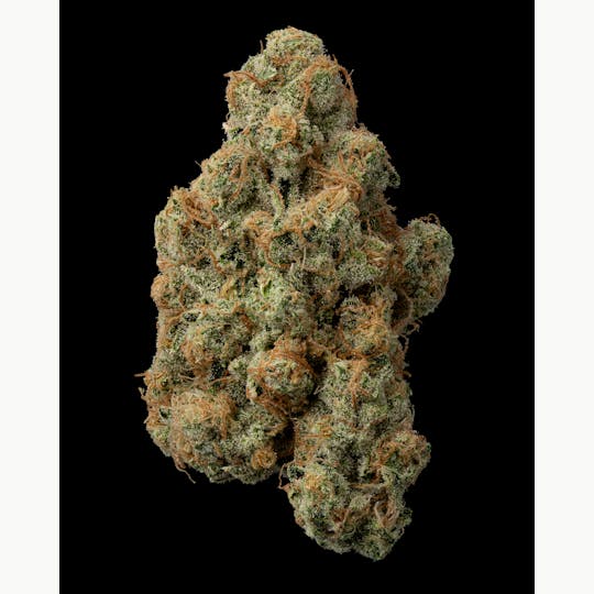 The Garden of Gele - Goji OG - 1