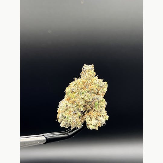 The Garden of Gele - African Haze - 1