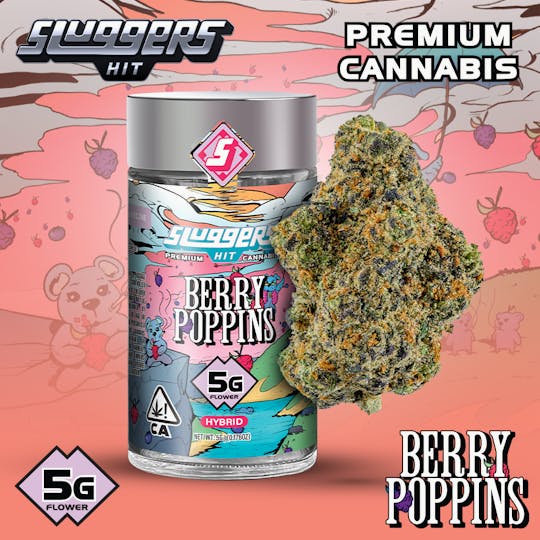 Sluggers Hit - Sluggers - Jarred Flower - 5g - Berry Poppins - 1