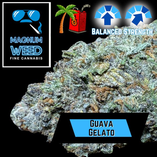 Magnum Weed - Magnum Guava Gelato - 1