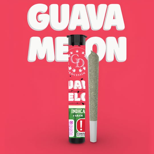 GD CANNABIS PROCESSING - 1G PRE-ROLL GUAVA MELON - 1