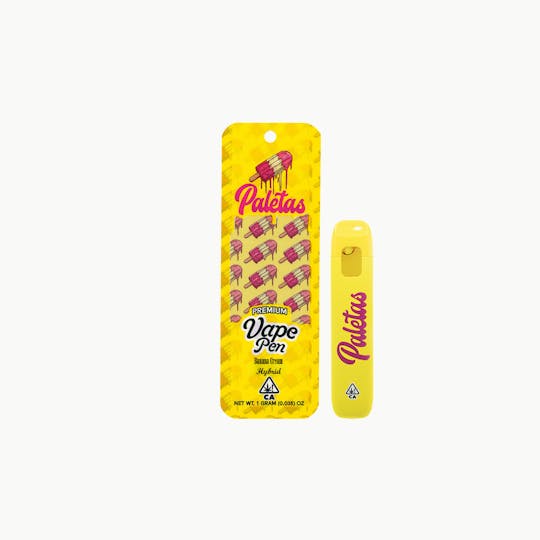 Paletas - Paletas: Banana Cream - 1g All-in-One - 1