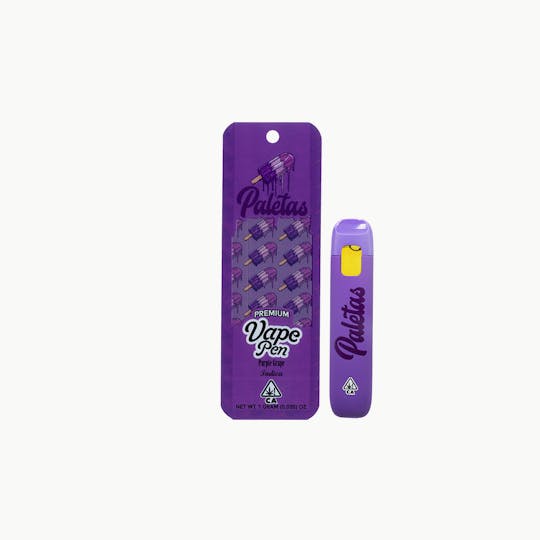 Paletas - Paletas Purple Grape 1g All-in-One - 1