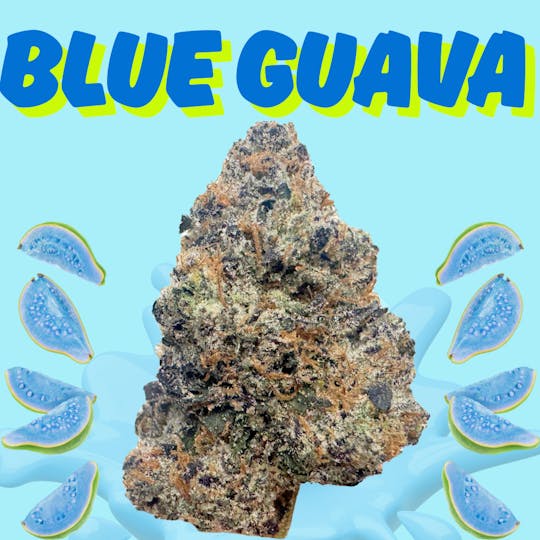SUPPLY LA - Blue Guava | Top-Shelf | Indoor | Limited Drop! | 28g | Ounce - 1