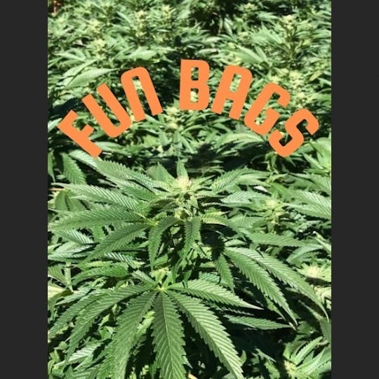 Nu Cannabis Brand - Fun Bags - Black Cherry 28g - 1