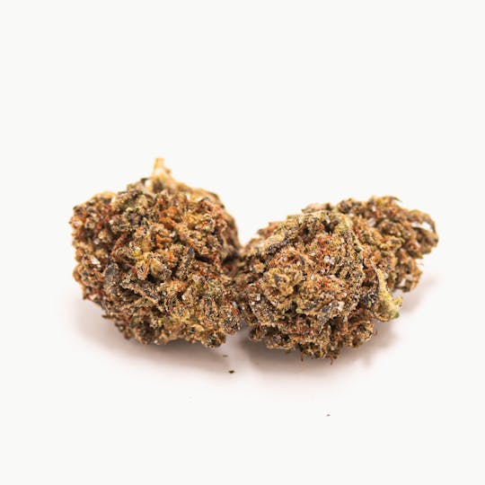 LA Native - Bettie White (Low-Shelf) - Hybrid - 1