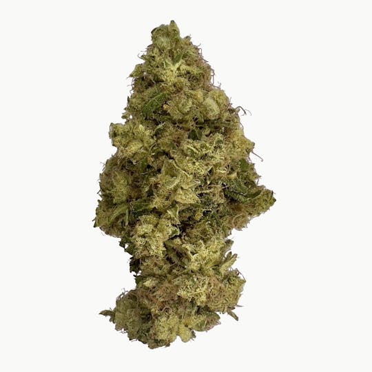Indico - Sour Grapefruit Haze - Indico - 1