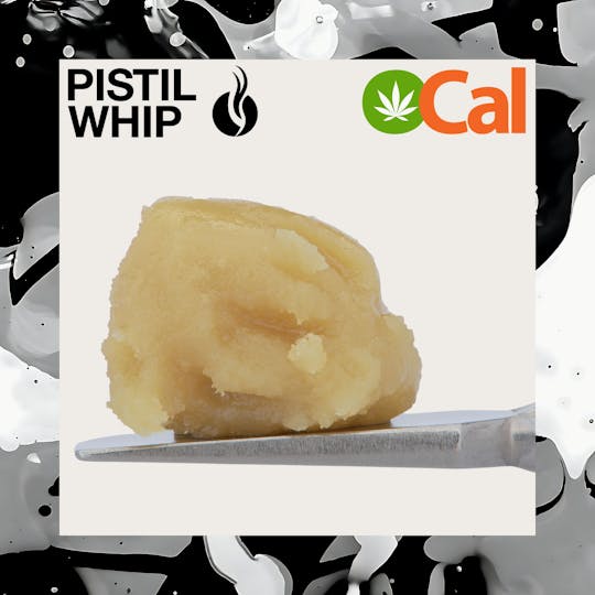 Pistil Whip - Banana Citron OCal Live Rosin Badder (1g) - 1