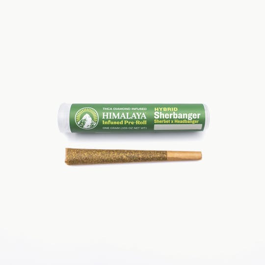 HIMALAYA - Sherbanger - Infused Pre-Roll - 1G - 1