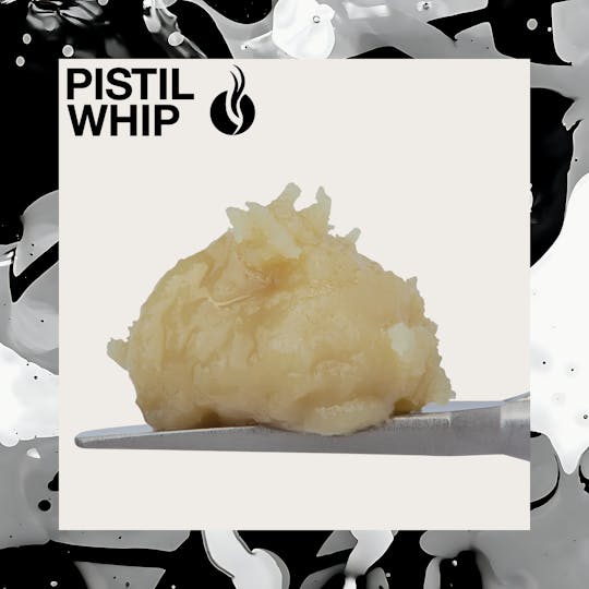 Pistil Whip - Sticky Papaya Live Rosin Badder (1g) - 1