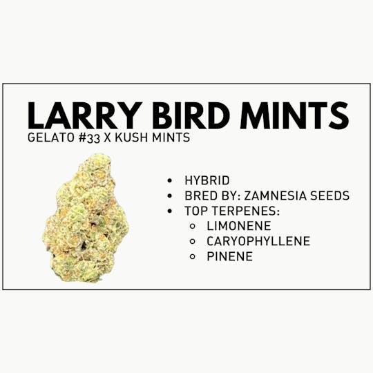 LightSky Farms - Larry Bird Mints Buds - 1