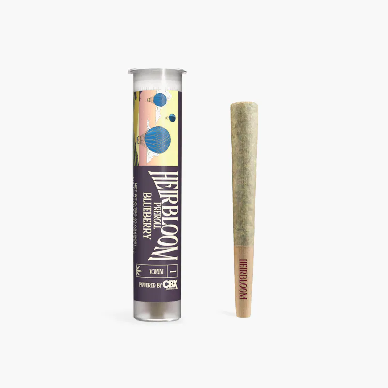 Blueberry Pre Roll