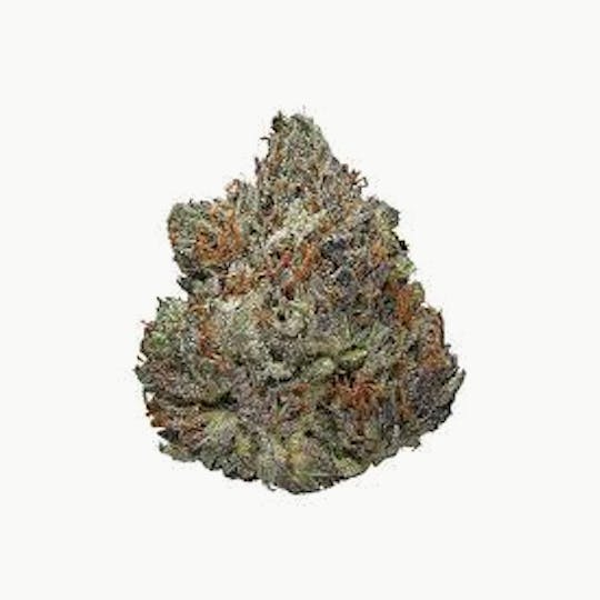 Cannafeen - BLACK CHERRY GELATO - 1