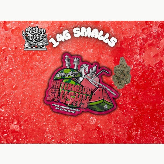 Bishop Boyz - Bishop Boyz Watermelon Slushy 14g - 1