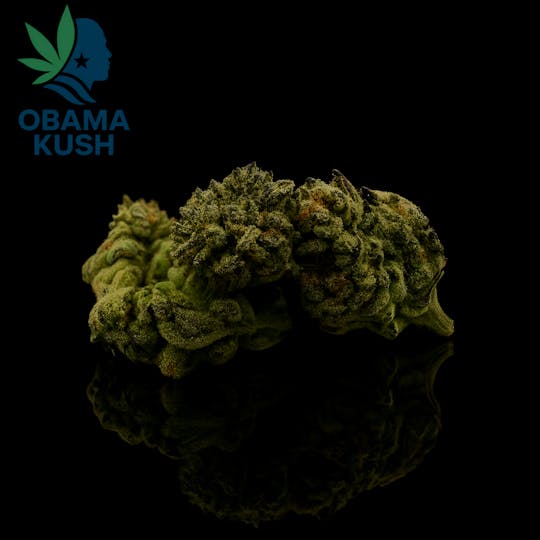 GD CANNABIS PROCESSING - FLOWER OBAMA KUSH - 1