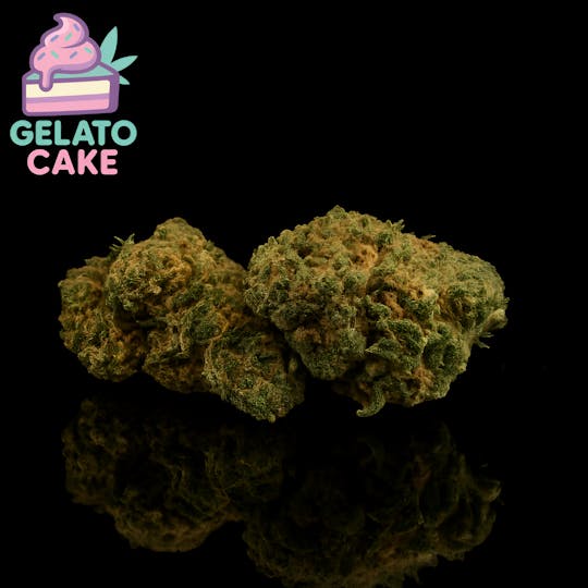 GD CANNABIS PROCESSING - FLOWER GELATO CAKE - 1