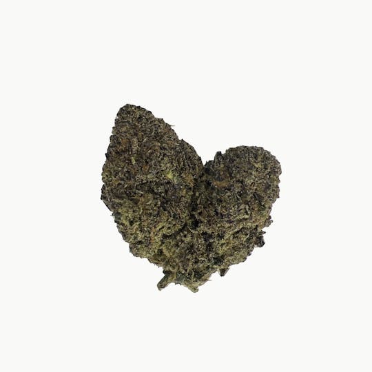 Indico - Jokerz - Indico - 1