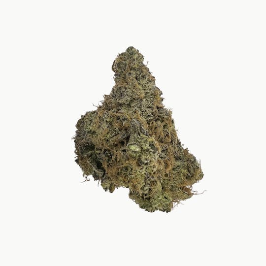 Indico - Stardawg - Indico - 1