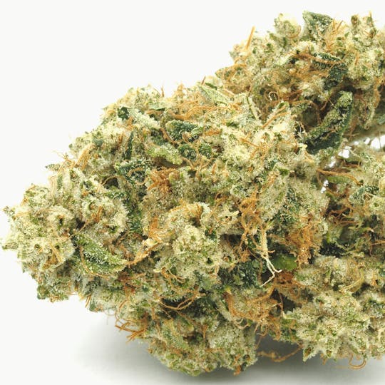 Inadaze - Inadaze | Platinum OG Premium 1/8 - 1