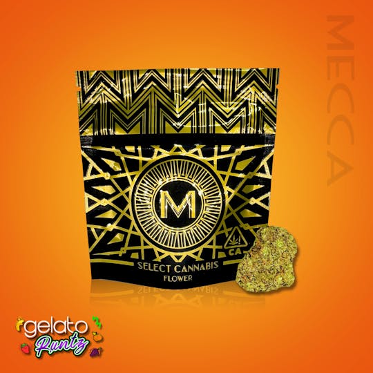 Mecca - Gelato Runtz - 1