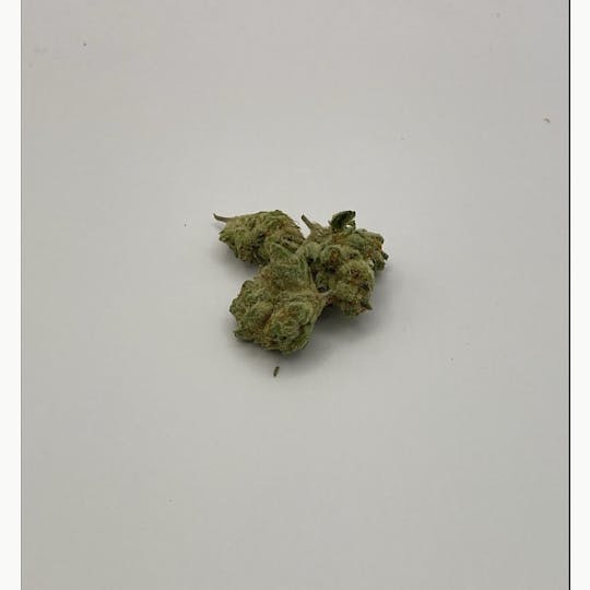Pharmicated - PhD Flower - 112 Grams - Tiki Mirage (S) - 1