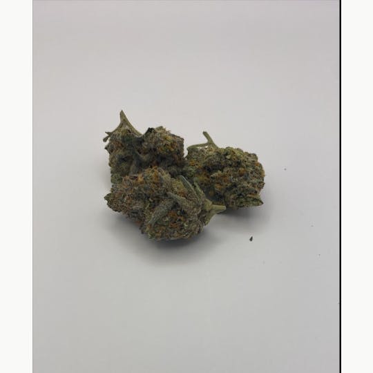 Pharmicated - PhD Indoor Flower - Rainbow Sherb (3.5g)(H) - 1