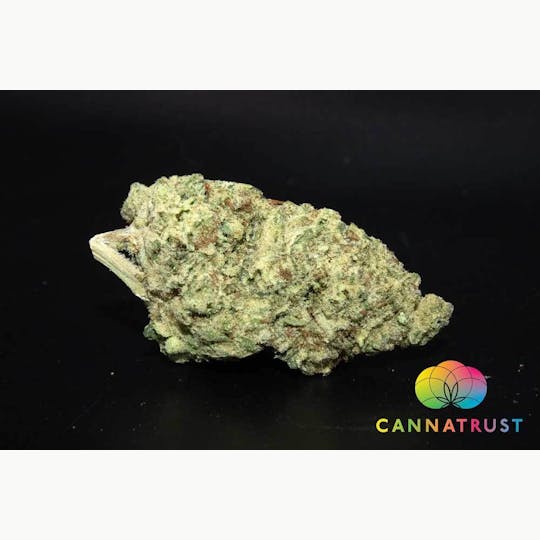 Trusty Transportations - Ice Cream Cake 1/2 Ounce/14Grams(22%THC, Indica) - 1