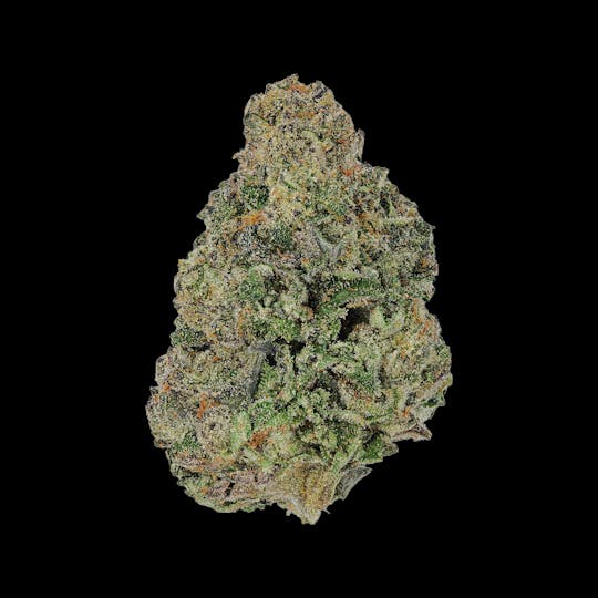 Auraz - Caleta Flower | Blueberry Pie - 1