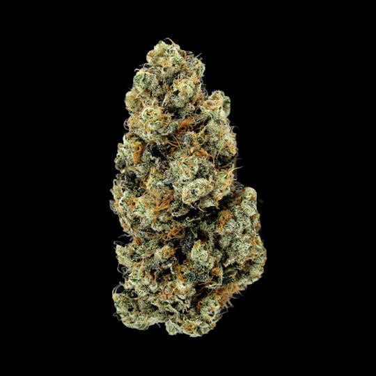 Auraz - Premium Flower | GMO #33 | Small Buds - 1