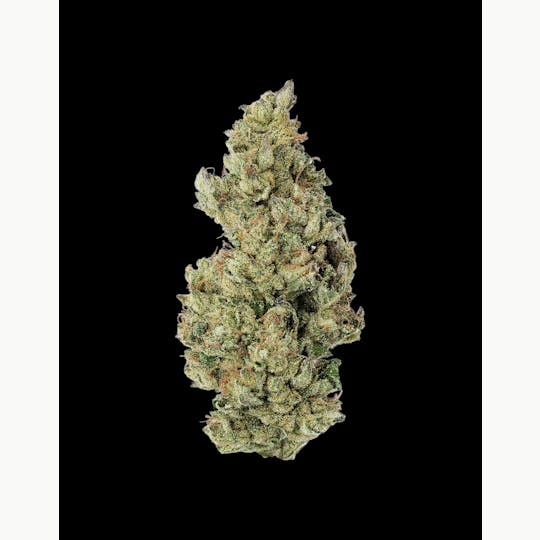 Auraz - Premium Flower | Fizzle Rocks - 1