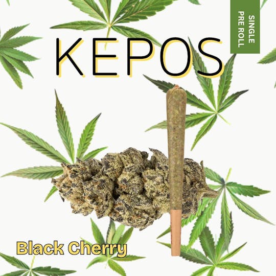 Nu Cannabis Brand - Kepos - Black Cherry 1.2g - PRE ROLL - 1