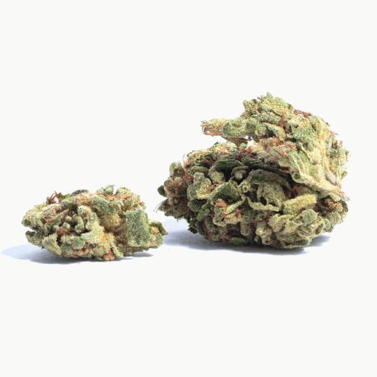Magic Brothers - Space Cookies (Indica) - Premium Flower - 1oz. 28g. - 1