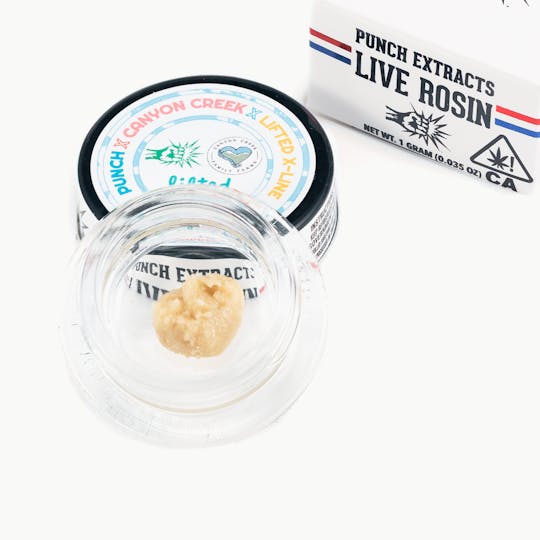 Punch Edibles & Extracts - Canal St. Fatso Tier 4 Live Rosin Cold Cure Badder (1g) - 1
